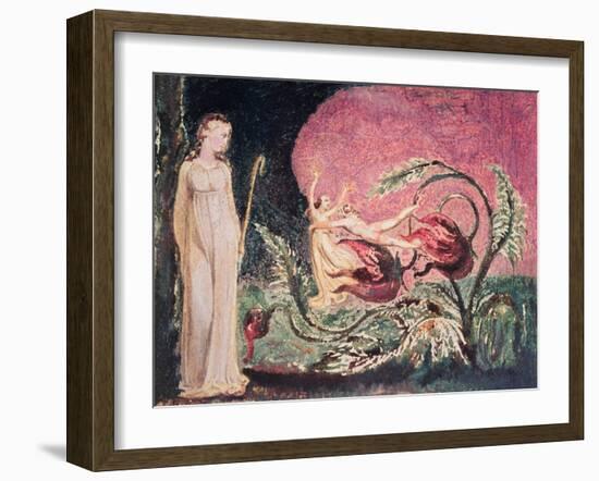 The Book of Thel: Title Page, 1794-William Blake-Framed Giclee Print