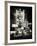 The Booth Theatre at Broadway - Urban Street Scene by Night with a NYPD Police Car - Manhattan-Philippe Hugonnard-Framed Photographic Print