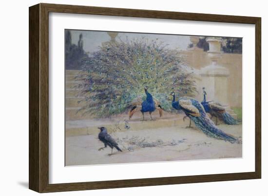 The Borrowed Plume-John Charles Dollman-Framed Giclee Print