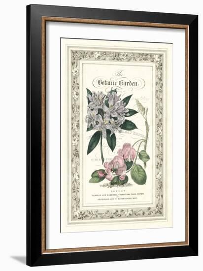 The Botanic Garden II-Vision Studio-Framed Art Print