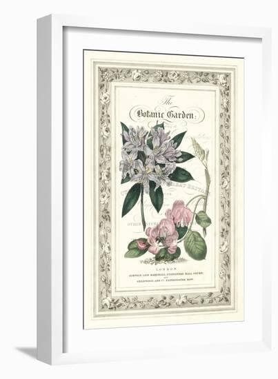 The Botanic Garden II-Vision Studio-Framed Art Print