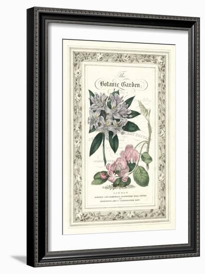 The Botanic Garden II-Vision Studio-Framed Art Print