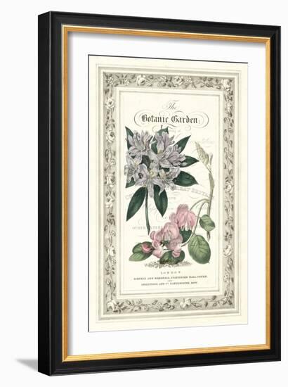 The Botanic Garden II-Vision Studio-Framed Art Print