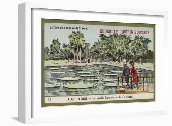 The Botanical Gardens, Calcutta, India-null-Framed Giclee Print