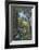 The Botanist-Unknown-Framed Premium Giclee Print