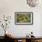 The Botanist-Carl Spitzweg-Framed Premium Giclee Print displayed on a wall