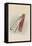 The Bottle, 1930-John Tenniel-Framed Premier Image Canvas