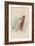 The Bottle, 1930-John Tenniel-Framed Giclee Print