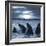 The Bottle-Nosed Dolphins In Sunset Light-sad444-Framed Photographic Print