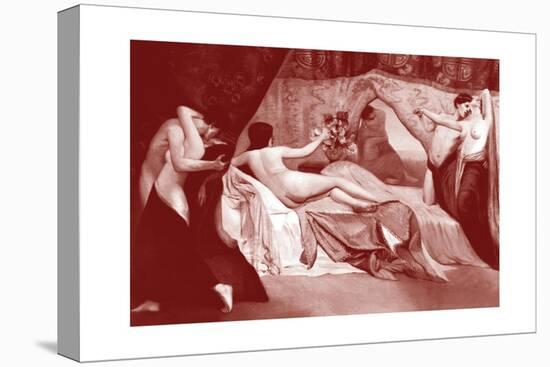 Stretched Canvas Print, , large