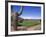 The Boulders Golf Course, Phoenix, AZ-Bill Bachmann-Framed Photographic Print