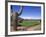 The Boulders Golf Course, Phoenix, AZ-Bill Bachmann-Framed Photographic Print