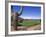 The Boulders Golf Course, Phoenix, AZ-Bill Bachmann-Framed Photographic Print