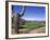 The Boulders Golf Course, Phoenix, AZ-Bill Bachmann-Framed Photographic Print