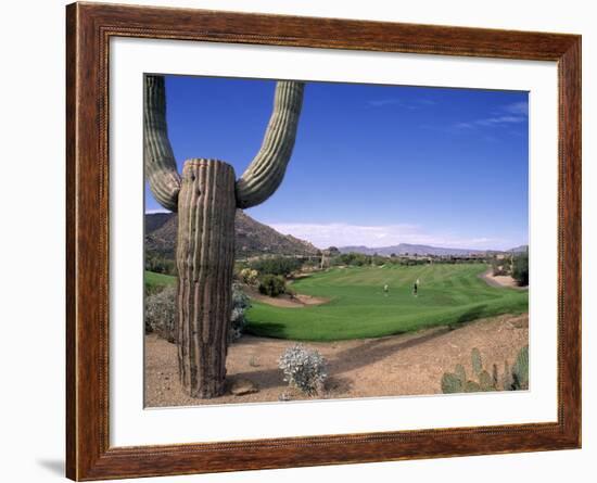 The Boulders Golf Course, Phoenix, AZ-Bill Bachmann-Framed Photographic Print