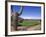 The Boulders Golf Course, Phoenix, AZ-Bill Bachmann-Framed Photographic Print