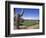 The Boulders Golf Course, Phoenix, AZ-Bill Bachmann-Framed Photographic Print