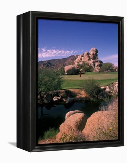 The Boulders Golf Course, Scottsdale, Arizona-Bill Bachmann-Framed Premier Image Canvas