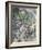 The Boulevard De Sébastopol in Paris, 1923-Konstantin Alexeyevich Korovin-Framed Giclee Print