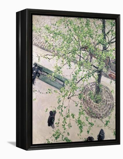 The Boulevard Viewed from Above, 1880-Gustave Caillebotte-Framed Premier Image Canvas