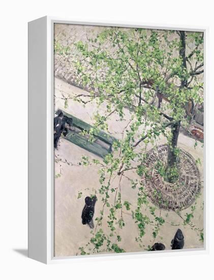 The Boulevard Viewed from Above, 1880-Gustave Caillebotte-Framed Premier Image Canvas