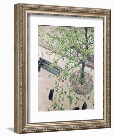 The Boulevard Viewed from Above, 1880-Gustave Caillebotte-Framed Giclee Print