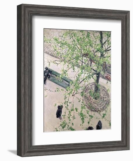 The Boulevard Viewed from Above, 1880-Gustave Caillebotte-Framed Giclee Print