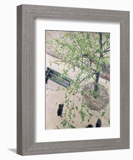 The Boulevard Viewed from Above, 1880-Gustave Caillebotte-Framed Giclee Print