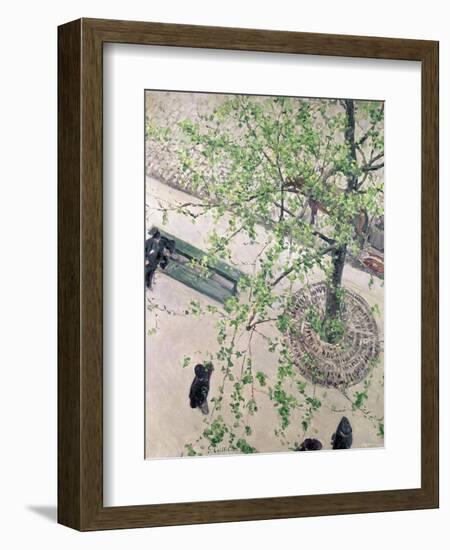 The Boulevard Viewed from Above, 1880-Gustave Caillebotte-Framed Giclee Print