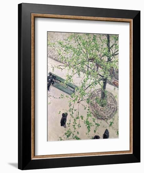 The Boulevard Viewed from Above, 1880-Gustave Caillebotte-Framed Giclee Print