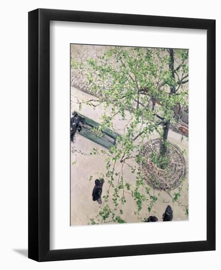 The Boulevard Viewed from Above, 1880-Gustave Caillebotte-Framed Giclee Print