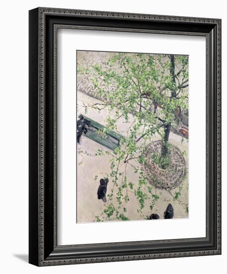 The Boulevard Viewed from Above, 1880-Gustave Caillebotte-Framed Giclee Print