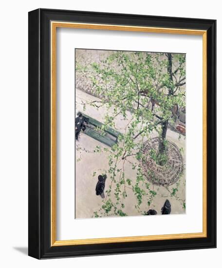 The Boulevard Viewed from Above, 1880-Gustave Caillebotte-Framed Giclee Print