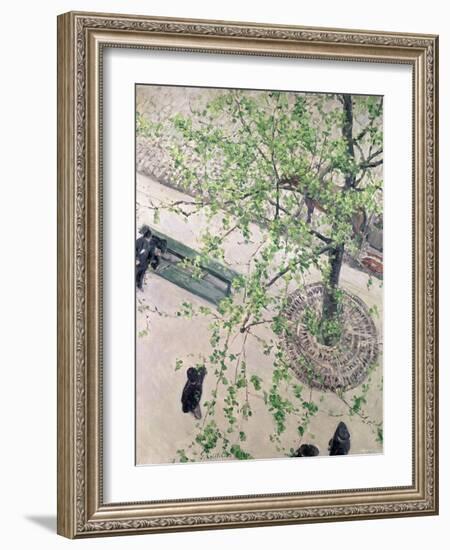 The Boulevard Viewed from Above, 1880-Gustave Caillebotte-Framed Giclee Print