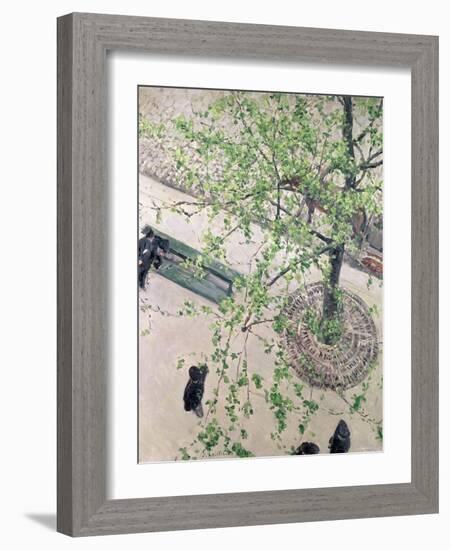 The Boulevard Viewed from Above, 1880-Gustave Caillebotte-Framed Giclee Print