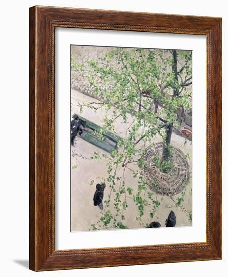 The Boulevard Viewed from Above, 1880-Gustave Caillebotte-Framed Giclee Print