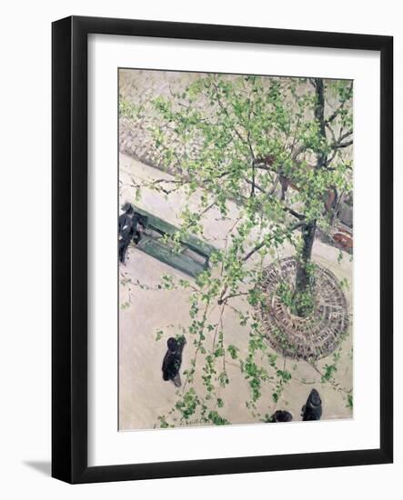 The Boulevard Viewed from Above, 1880-Gustave Caillebotte-Framed Giclee Print