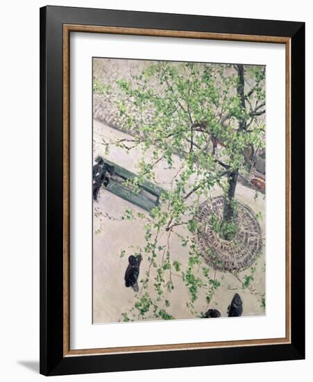 The Boulevard Viewed from Above, 1880-Gustave Caillebotte-Framed Giclee Print