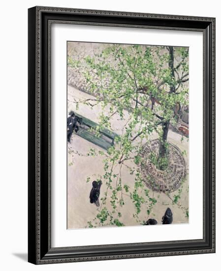 The Boulevard Viewed from Above, 1880-Gustave Caillebotte-Framed Giclee Print