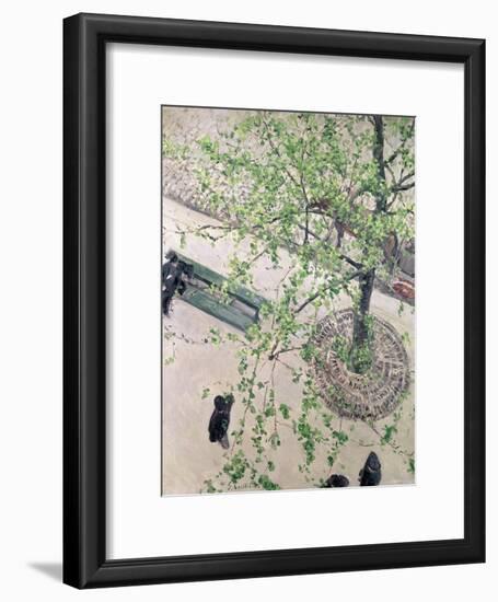 The Boulevard Viewed from Above, 1880-Gustave Caillebotte-Framed Giclee Print