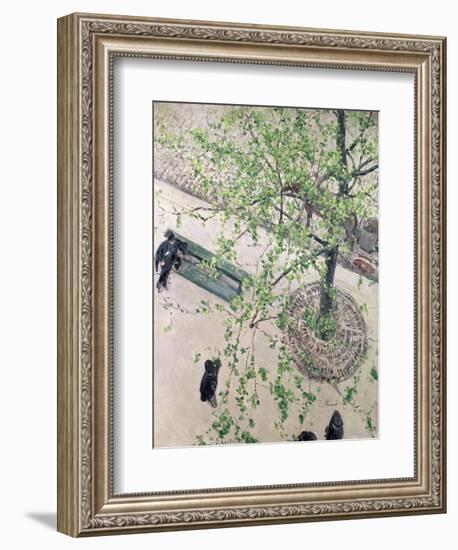 The Boulevard Viewed from Above, 1880-Gustave Caillebotte-Framed Giclee Print