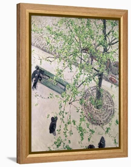 The Boulevard Viewed from Above, 1880-Gustave Caillebotte-Framed Premier Image Canvas