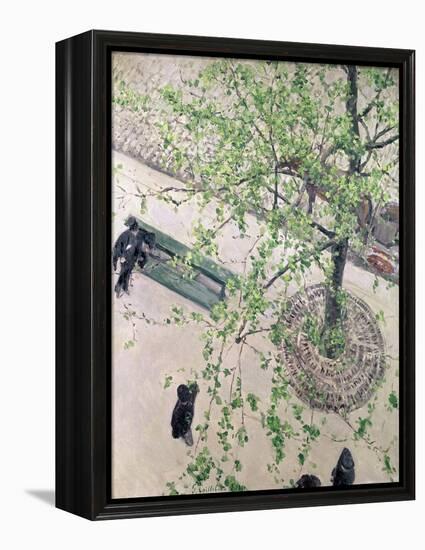 The Boulevard Viewed from Above, 1880-Gustave Caillebotte-Framed Premier Image Canvas
