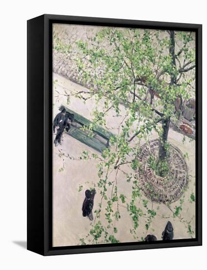 The Boulevard Viewed from Above, 1880-Gustave Caillebotte-Framed Premier Image Canvas