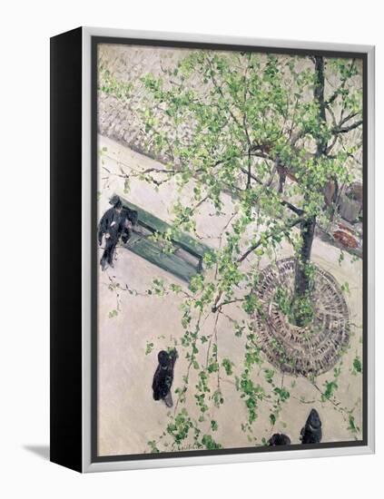 The Boulevard Viewed from Above, 1880-Gustave Caillebotte-Framed Premier Image Canvas