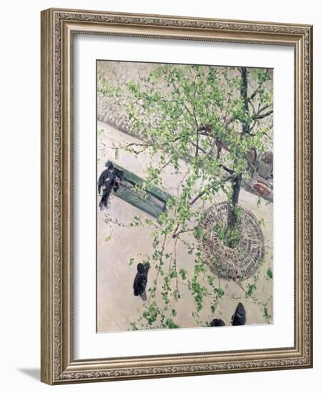 The Boulevard Viewed from Above, 1880-Gustave Caillebotte-Framed Giclee Print