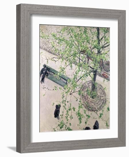 The Boulevard Viewed from Above, 1880-Gustave Caillebotte-Framed Giclee Print