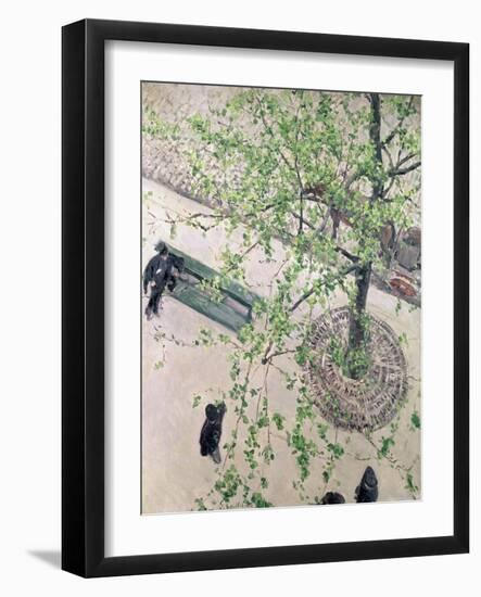 The Boulevard Viewed from Above, 1880-Gustave Caillebotte-Framed Giclee Print