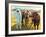 The Bovines-Rita Kirkman-Framed Art Print