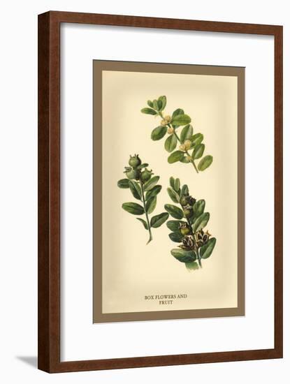 The Box Flowers and Fruits-W.h.j. Boot-Framed Art Print